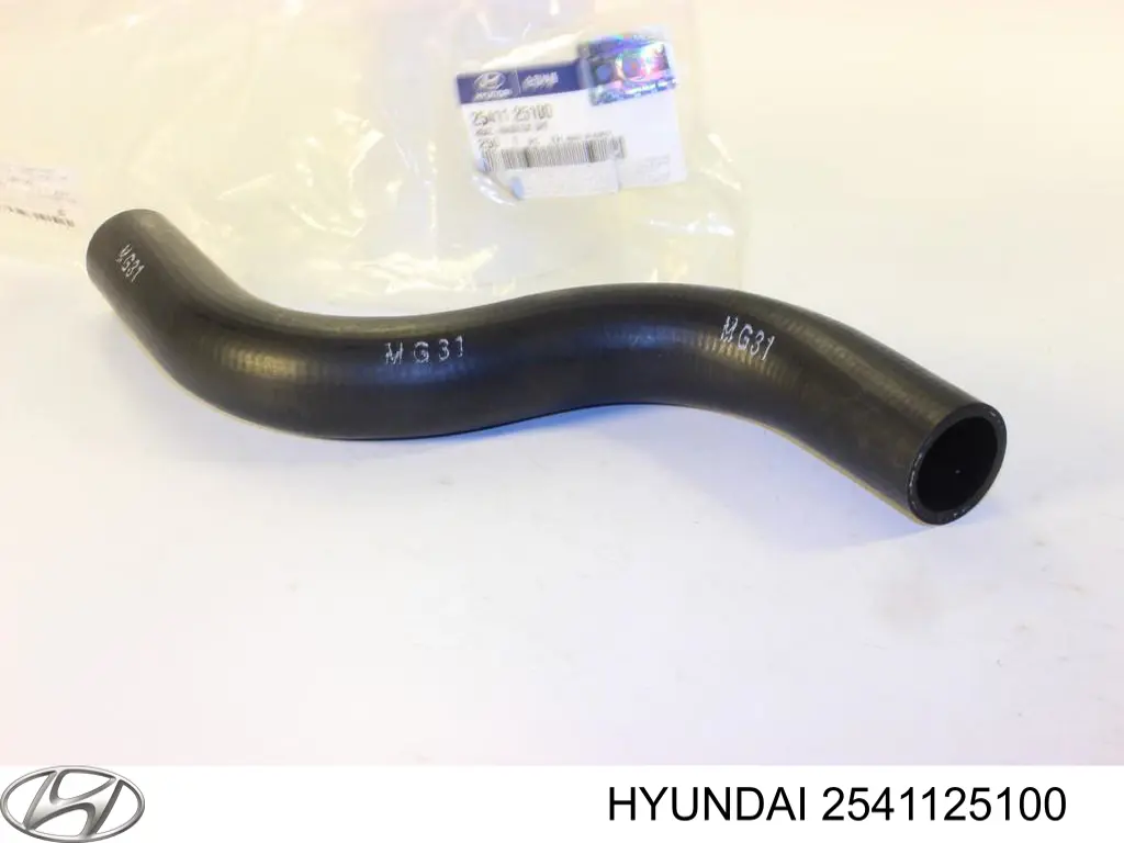Купить 2541125100 Hyundai/Kia Патрубок радиатора