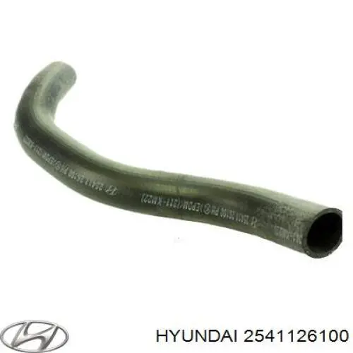 2541126100 Hyundai/Kia Шланг системы охлаждения