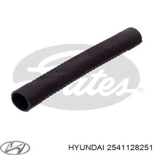 H06HOSSD00374 KAP Шланг системы охлаждения