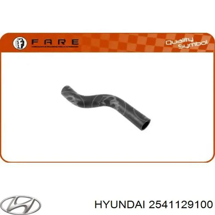 2541129100 Hyundai/Kia Шланг системы охлаждения