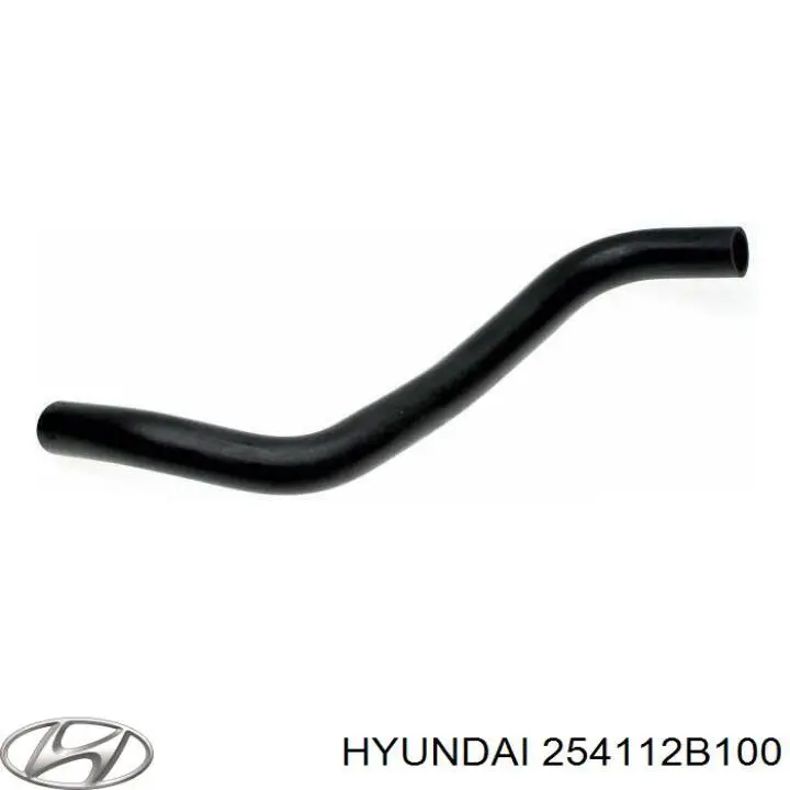 Патрубок радиатора 254112B100 Hyundai/Kia