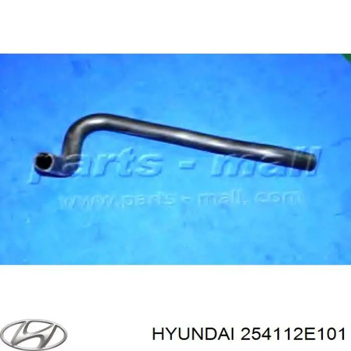 254112E101 Hyundai/Kia