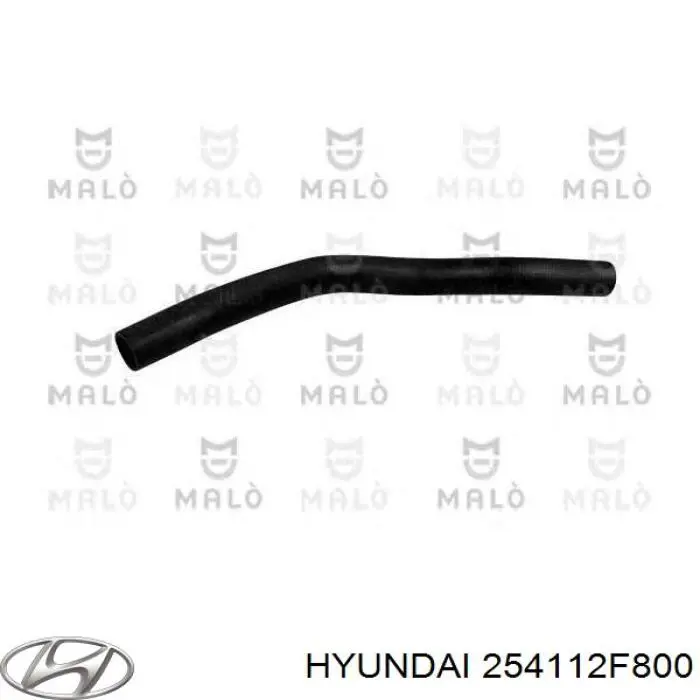254112F800 Hyundai/Kia mangueira (cano derivado do radiador de esfriamento superior)