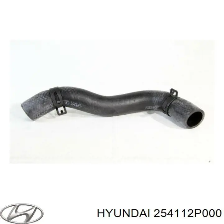 254112P000 Hyundai/Kia mangueira (cano derivado do radiador de esfriamento superior)