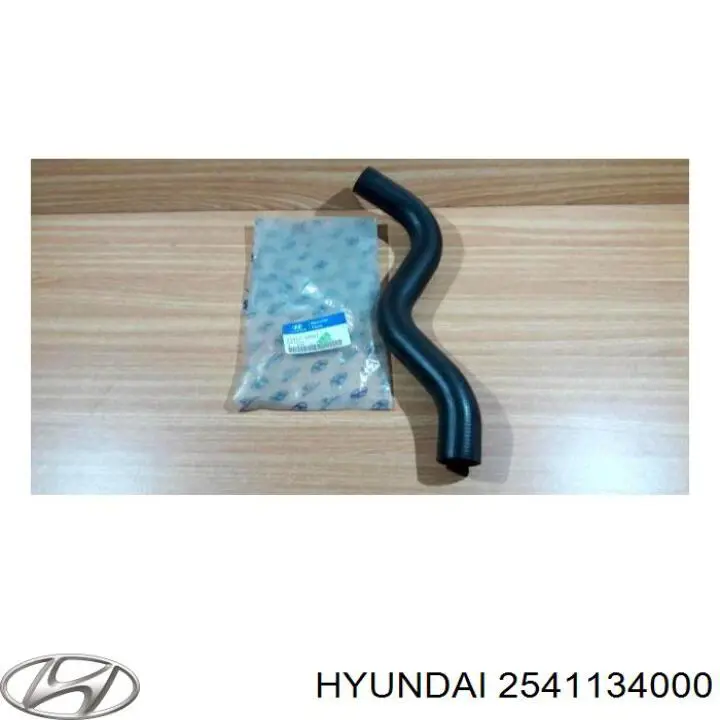 Купить 2541134000 Hyundai/Kia 