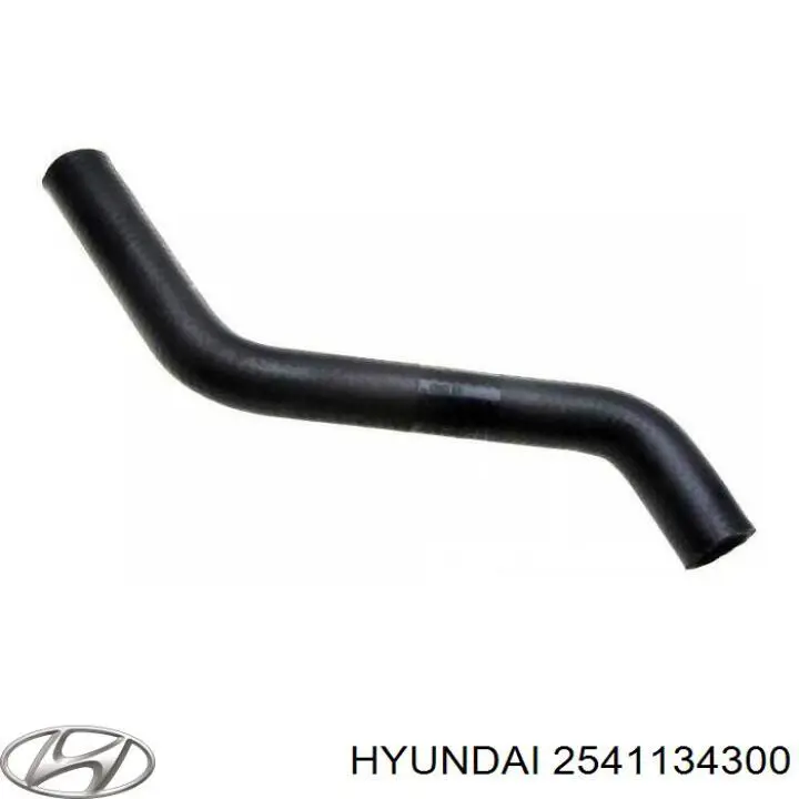  2541134300 Hyundai/Kia