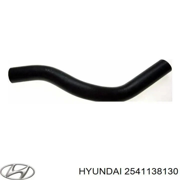  2541138130 Hyundai/Kia