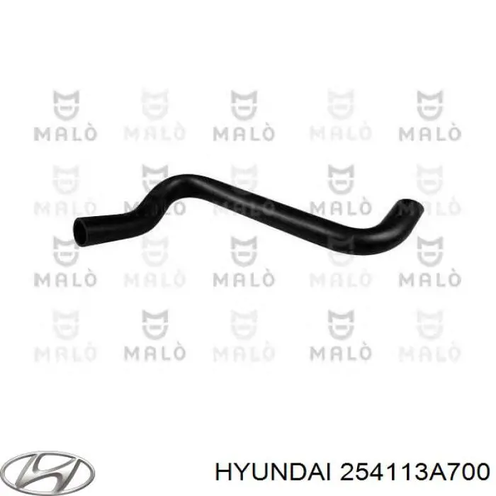  254113A700 Hyundai/Kia