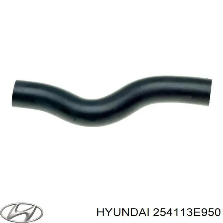  254113E950 Hyundai/Kia