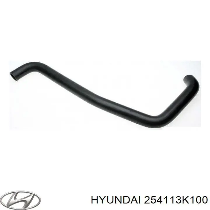 254113K100 Hyundai/Kia Шланг системы охлаждения