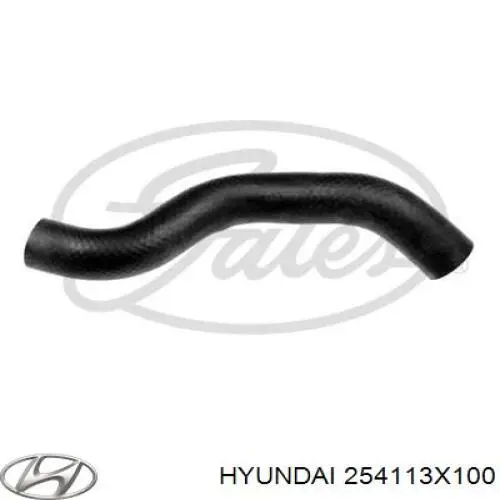 254113X100 Hyundai/Kia mangueira (cano derivado do radiador de esfriamento superior)