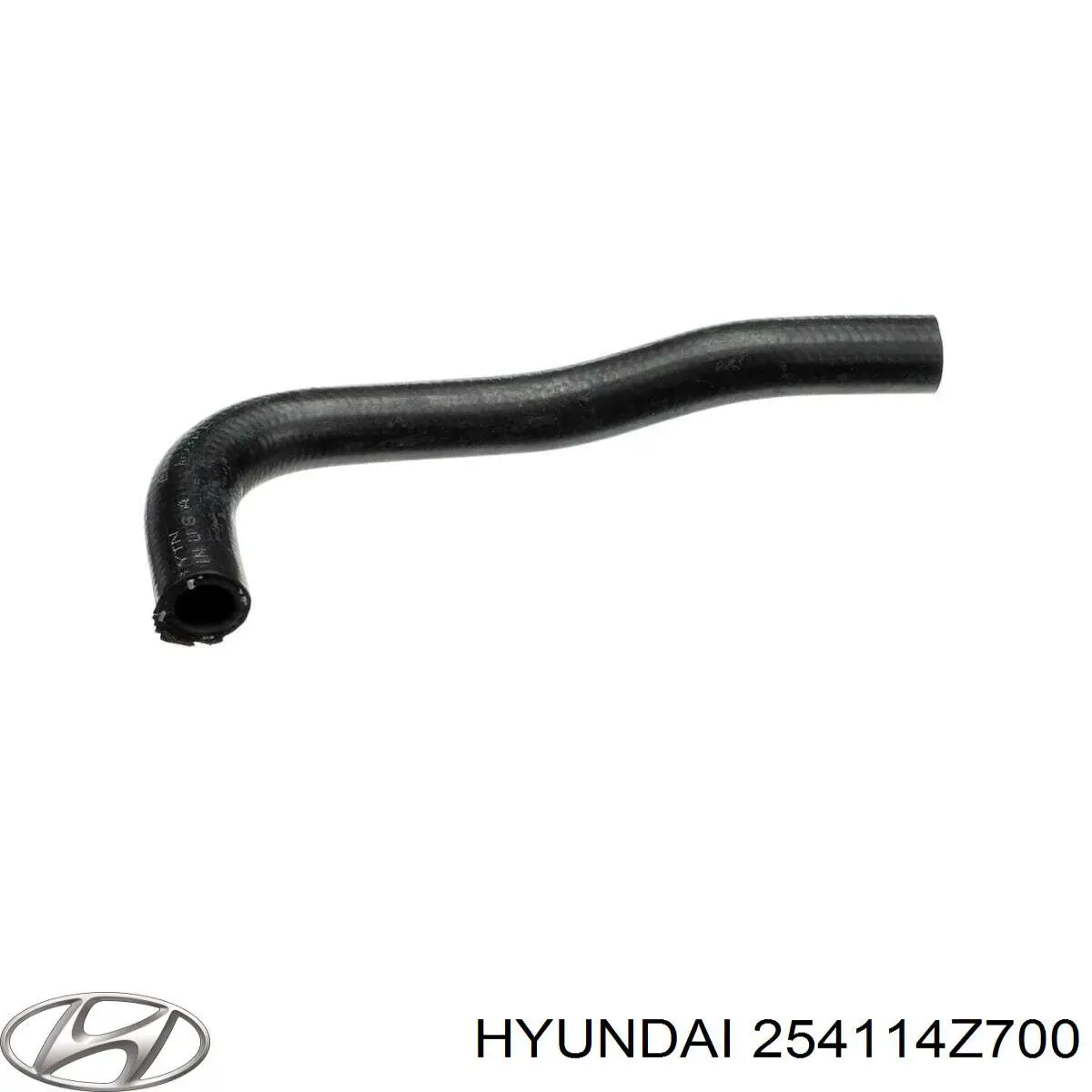  254114Z700 Hyundai/Kia