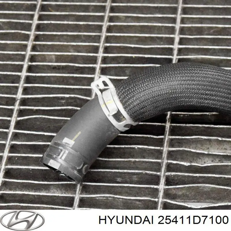 25411D7100 Hyundai/Kia 