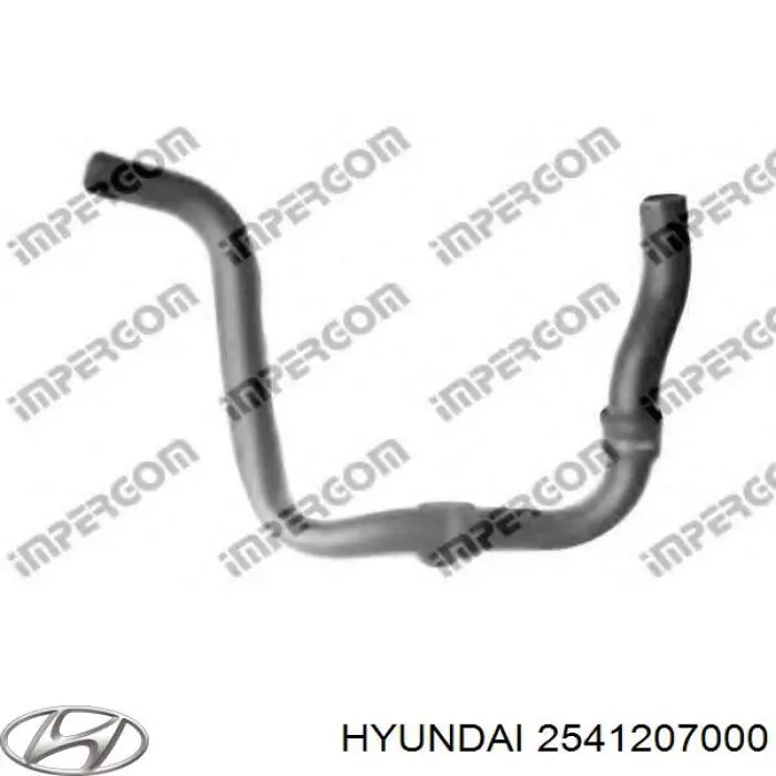  2541207000 Hyundai/Kia