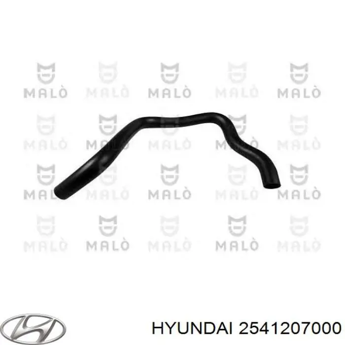 Купить 2541207000 Hyundai/Kia Шланг радиатора охлаждения нижний