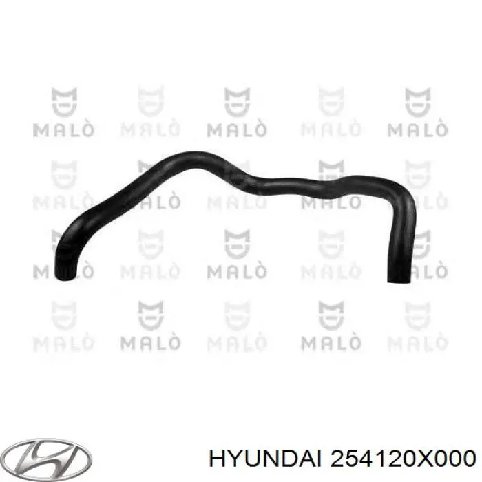 Mangueira (cano derivado) inferior do radiador de esfriamento para Hyundai I10 (PA)