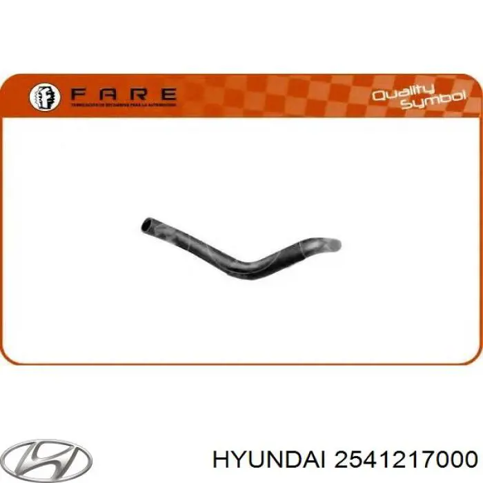 2541217000 Hyundai/Kia mangueira (cano derivado inferior do radiador de esfriamento)