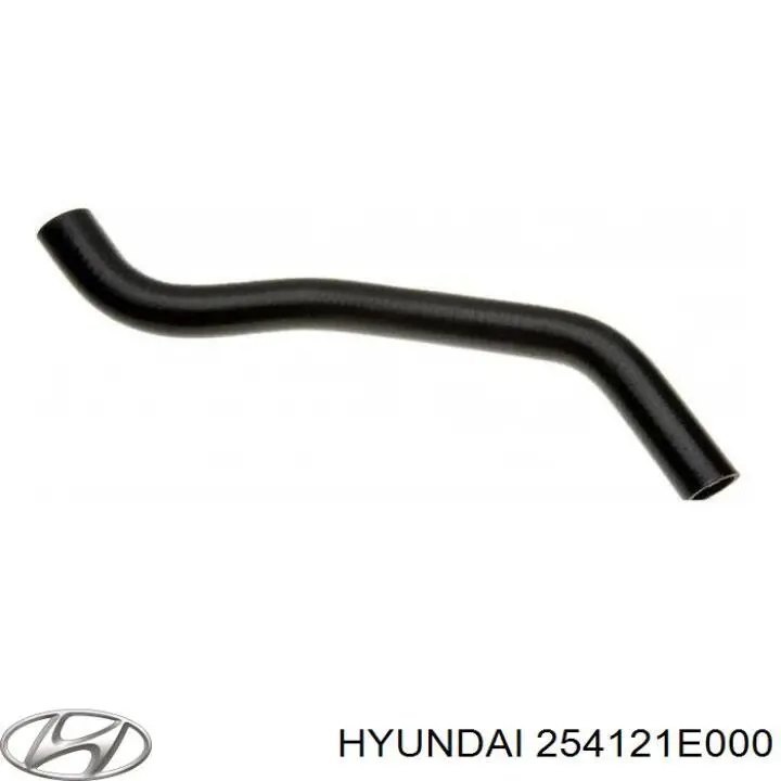 Mangueira (cano derivado) inferior do radiador de esfriamento para Hyundai Accent (MC)
