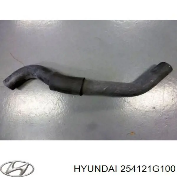 Нижний шлаг радиатора охлаждения 254121G100 Hyundai/Kia