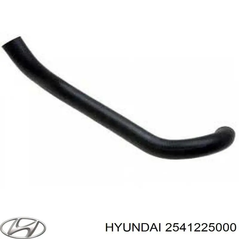 2541225000 Hyundai/Kia шланг (патрубок радиатора охлаждения нижний)