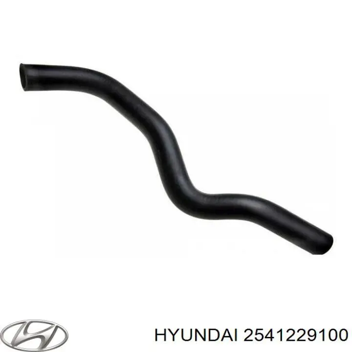 Купить 2541229100 Hyundai/Kia Шланг радиатора охлаждения нижний