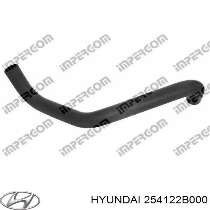 Mangueira (cano derivado) inferior do radiador de esfriamento para Hyundai Santa Fe (CM)