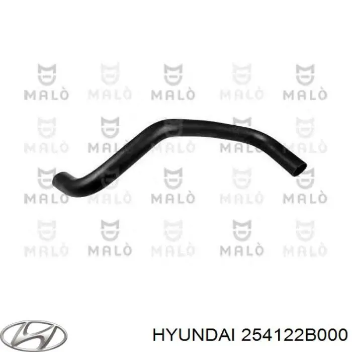 254122B000 Hyundai/Kia
