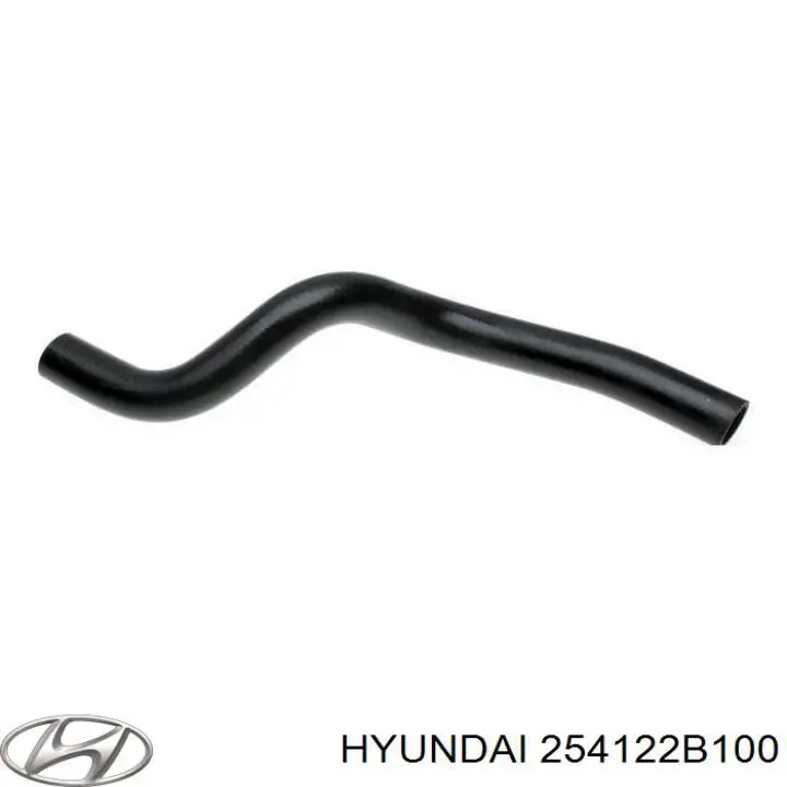 254122B100 Hyundai/Kia