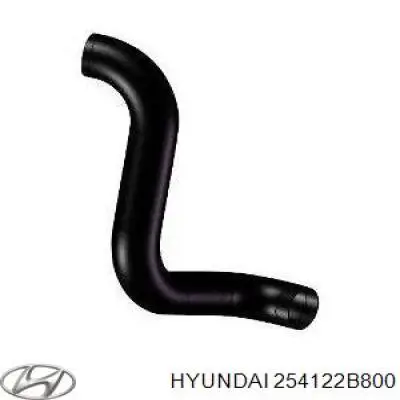 254122B800 Hyundai/Kia 