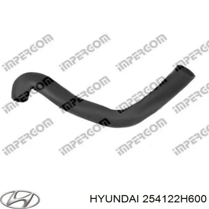 254122H600 Hyundai/Kia 