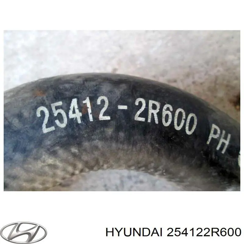Шланг радиатора, нижний Impergom 227454 цена, от 18.04 USD