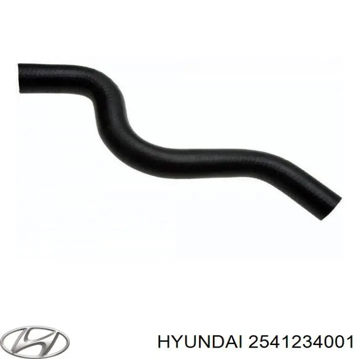  2541234001 Hyundai/Kia