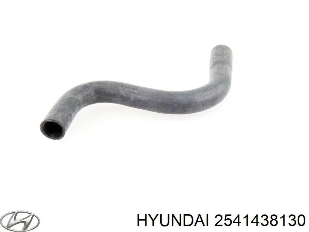  2541438130 Hyundai/Kia