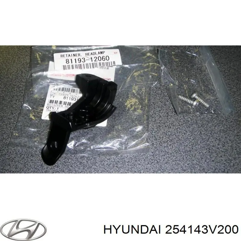 254143V200 Hyundai/Kia 