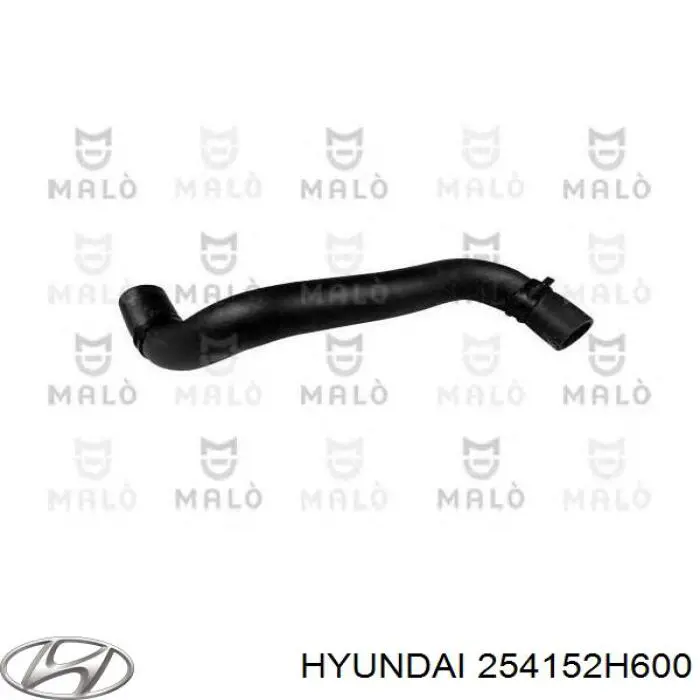 Нижний шлаг радиатора охлаждения 254152H600 Hyundai/Kia