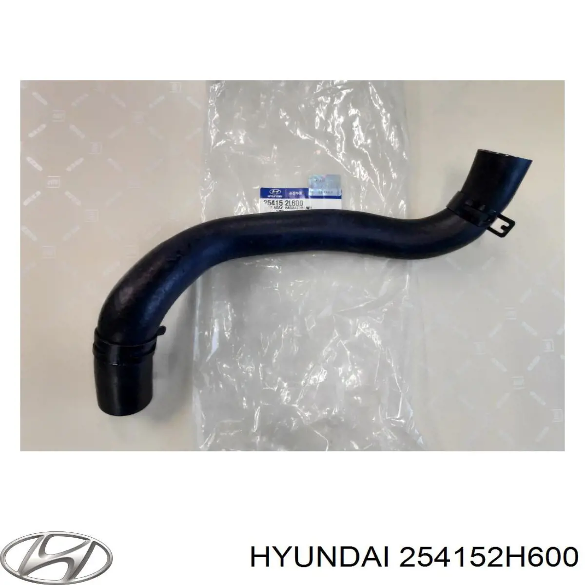 254152H600 Hyundai/Kia шланг (патрубок радиатора охлаждения нижний)