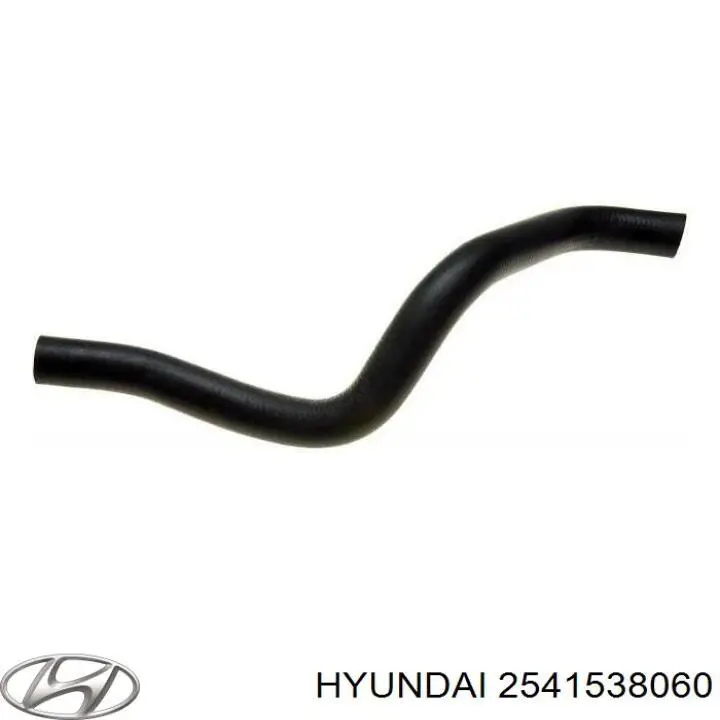 2541538060 Hyundai/Kia шланг (патрубок радиатора охлаждения нижний)