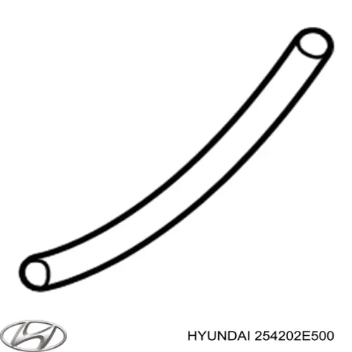 254202E500 Hyundai/Kia 