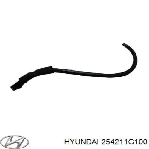 254211G100 Hyundai/Kia 