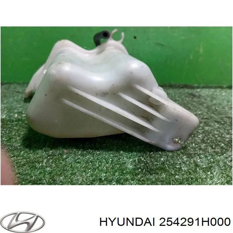 254291H000 Hyundai/Kia бачок