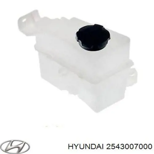 2543007000 Hyundai/Kia tanque de expansão do sistema de esfriamento