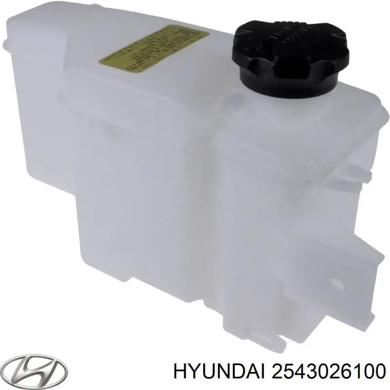 Бачок системы охлаждения расширительный на Hyundai Santa Fe I 