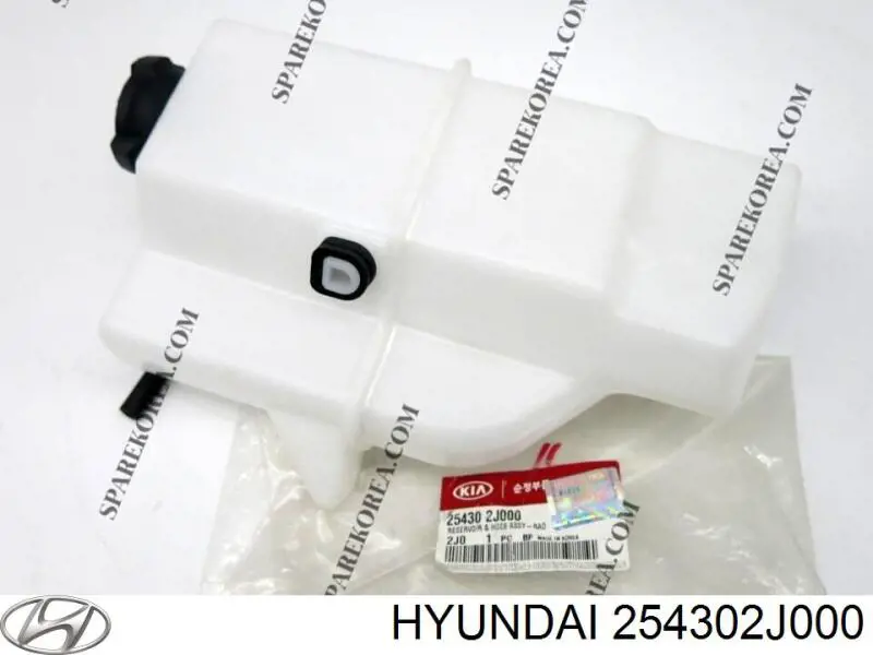  254302J000 Hyundai/Kia