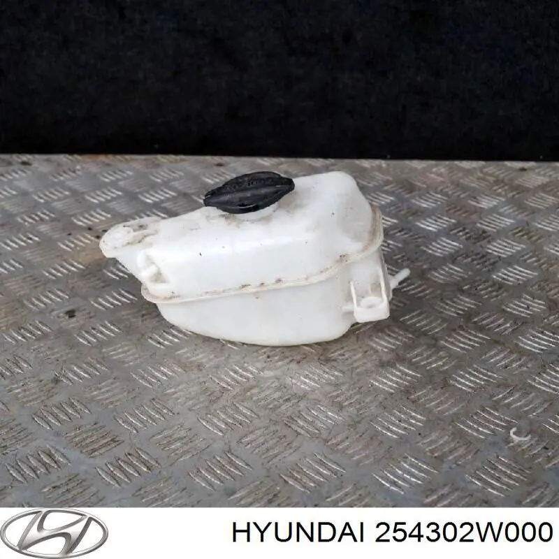 254302W000 Hyundai/Kia