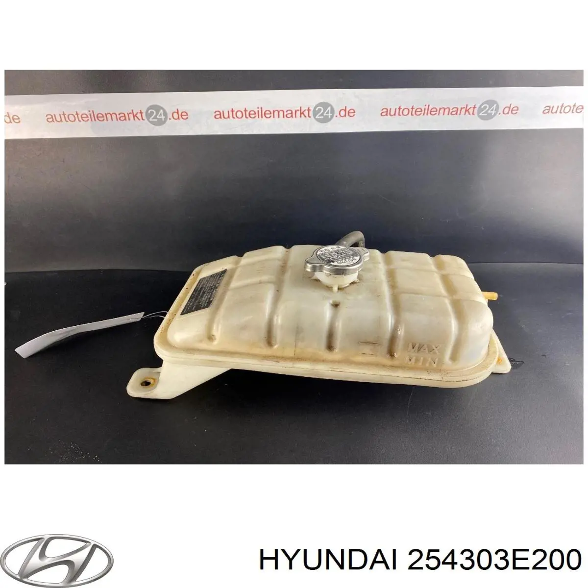 254313E201 Hyundai/Kia tanque de expansão do sistema de esfriamento