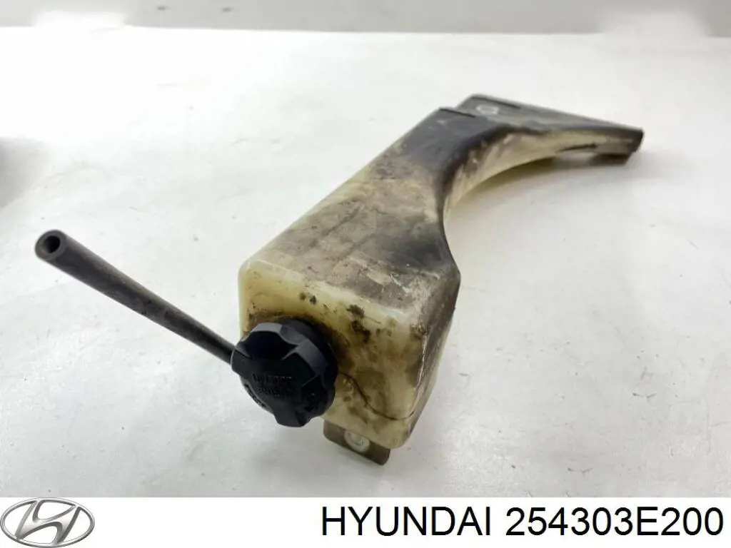 Бачок системы охлаждения двигателя расширительный Hyundai/Kia 254303E200 цена, от 47.97 USD
