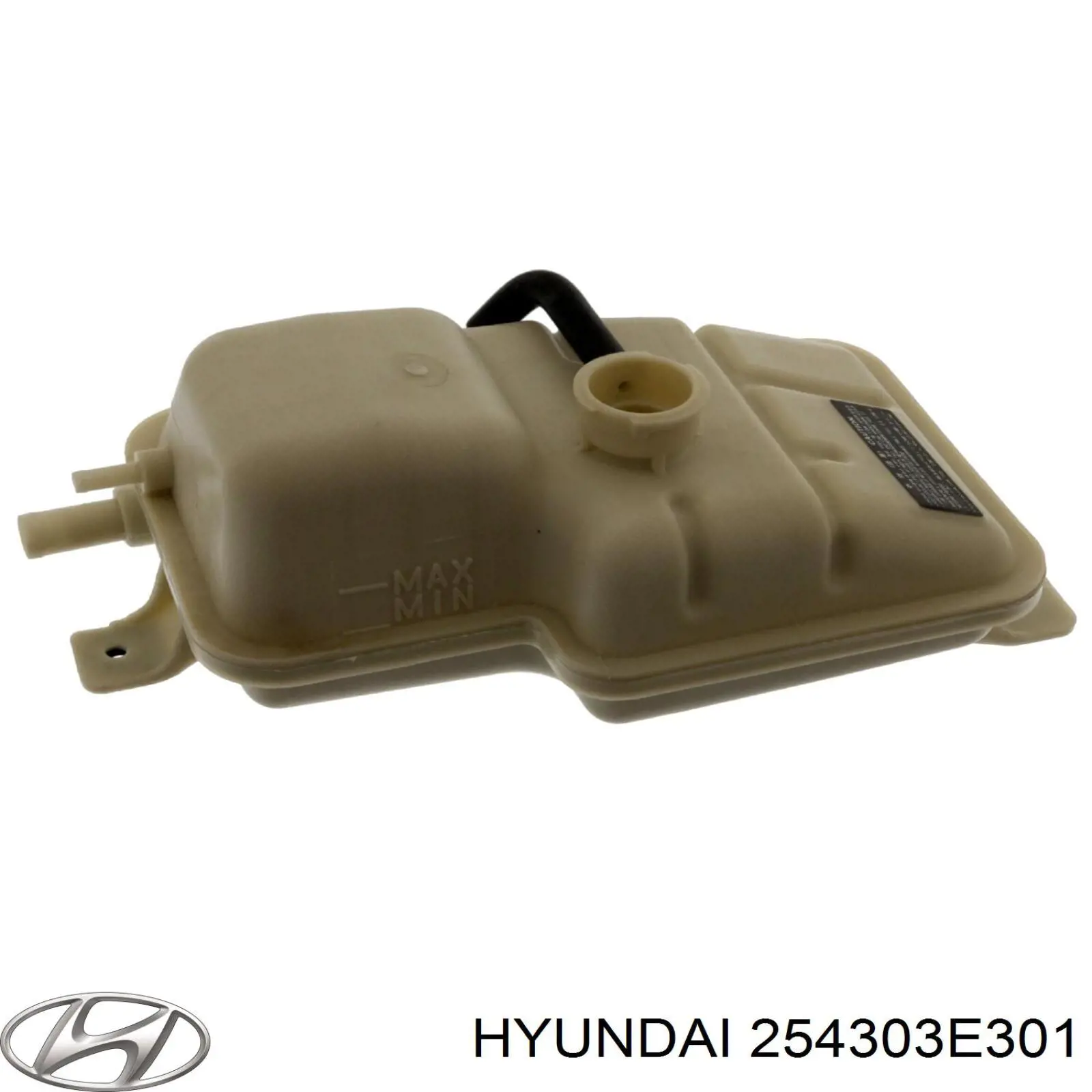 254303E300 Hyundai/Kia tanque de expansão do sistema de esfriamento