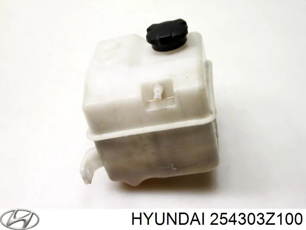 Бачок системы охлаждения двигателя расширительный Hyundai/Kia 254303Z100 цена, от 25.40 USD