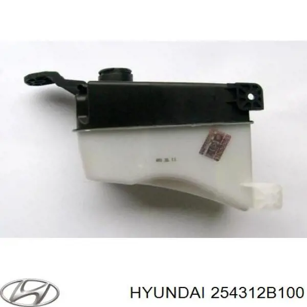 Бачок системы охлаждения расширительный на Hyundai Santa Fe II 