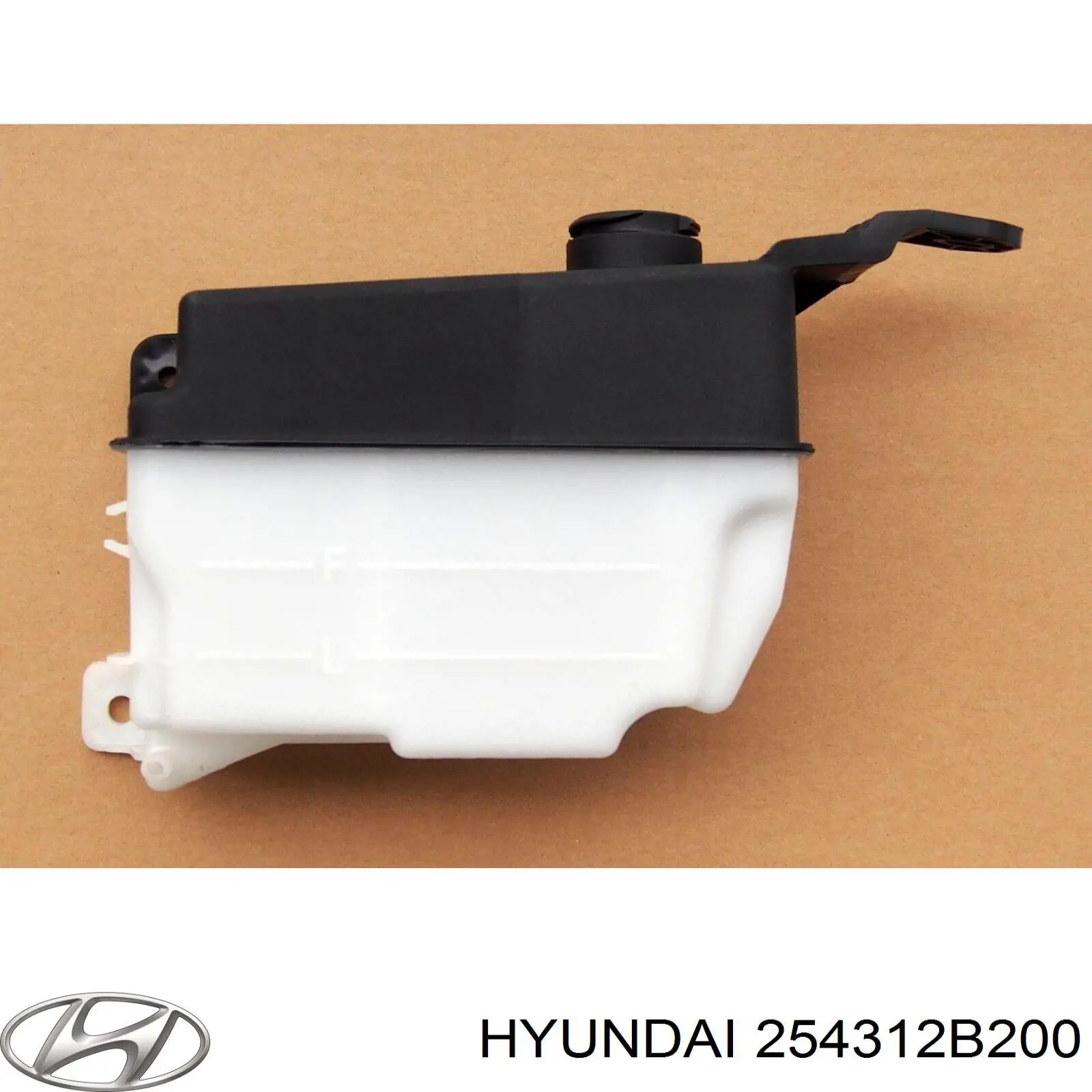 Бачок системы охлаждения 254312B200 Hyundai/Kia